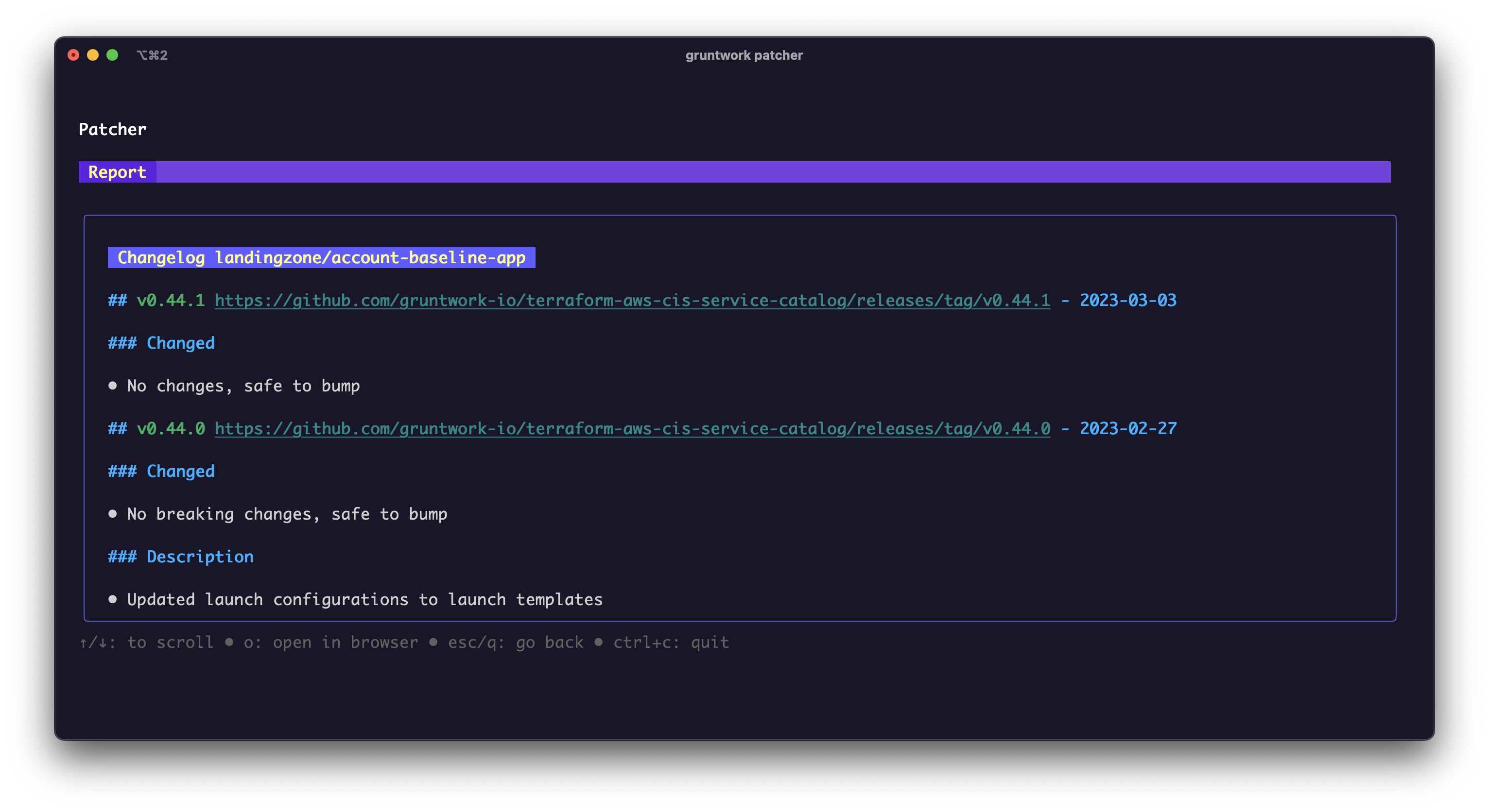 Patcher Changelogs screenshot