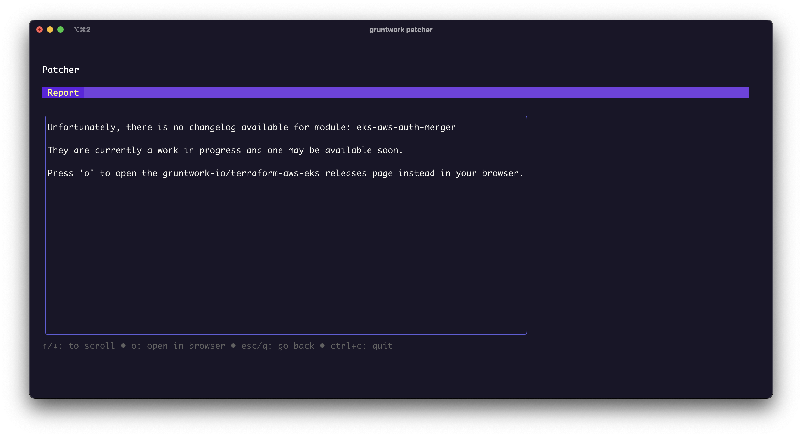 Patcher Changelogs screenshot