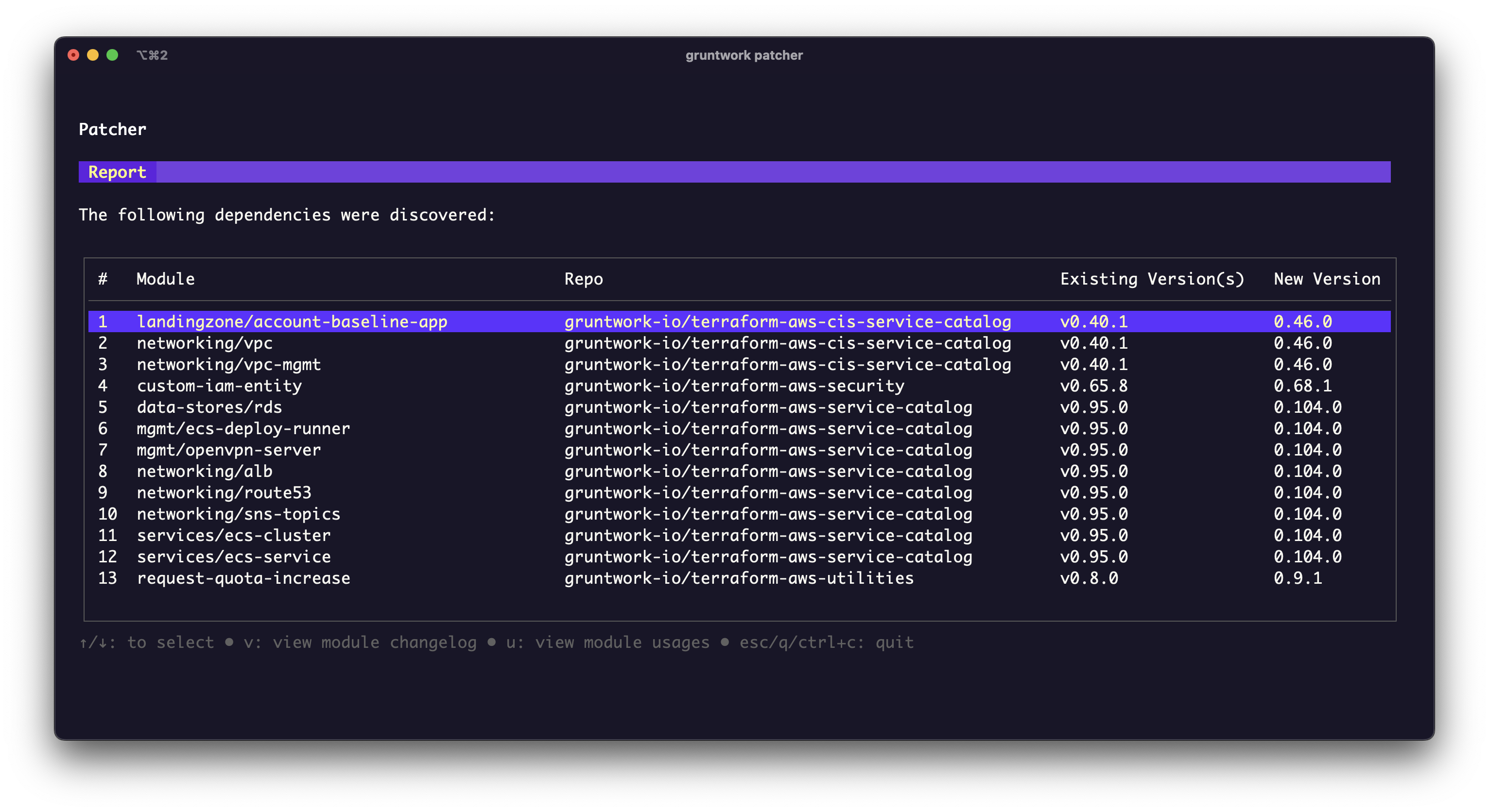 Patcher Report screenshot